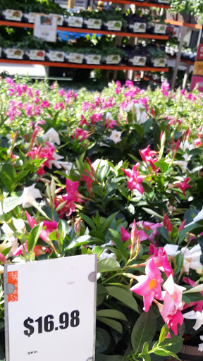 Home Improvement Store «The Home Depot», reviews and photos, 979 Beards Hill Rd, Aberdeen, MD 21001, USA