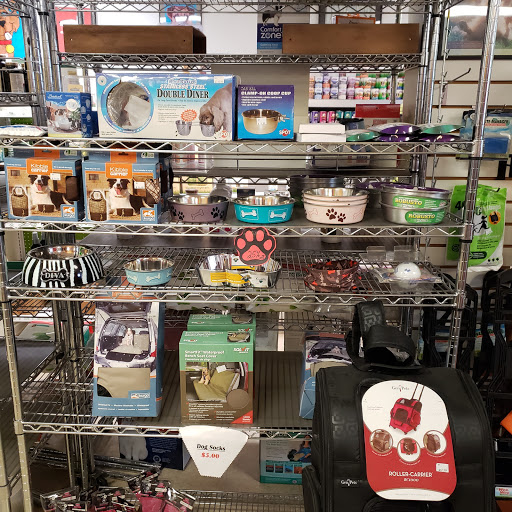 Pet Supply Store «Dog Daze Pet Shop», reviews and photos, 309 S Main St, North Syracuse, NY 13212, USA