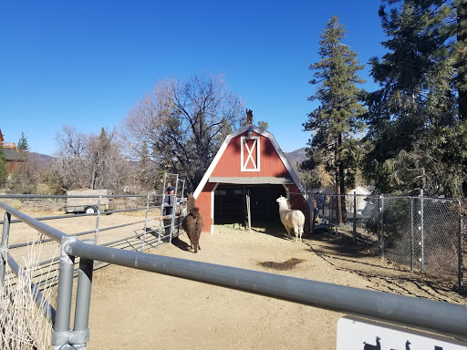 Pine Knot Guest Ranch image