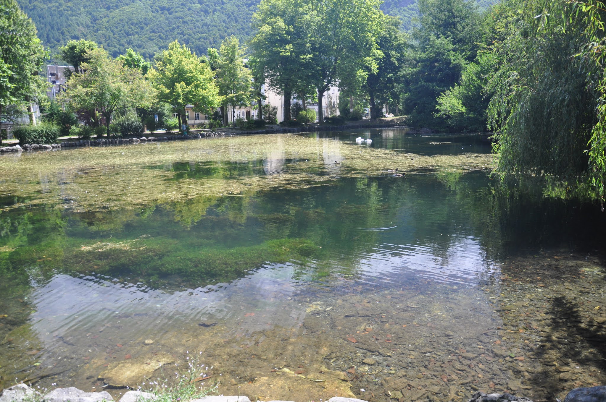 Photo n° 6 de l'avis de Julio.e fait le 16/08/2021 à 12:35