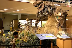 Prehistoric Museum, Utah State University Eastern image