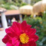 Photo n°12 de l'avis de Barbara. fait le 08/07/2023 à 21:07 sur le  Giardini Poseidon Terme à Forio