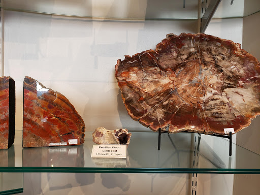 Gift Shop «Sea Shell Shop», reviews and photos, 119 Rehoboth Ave, Rehoboth Beach, DE 19971, USA