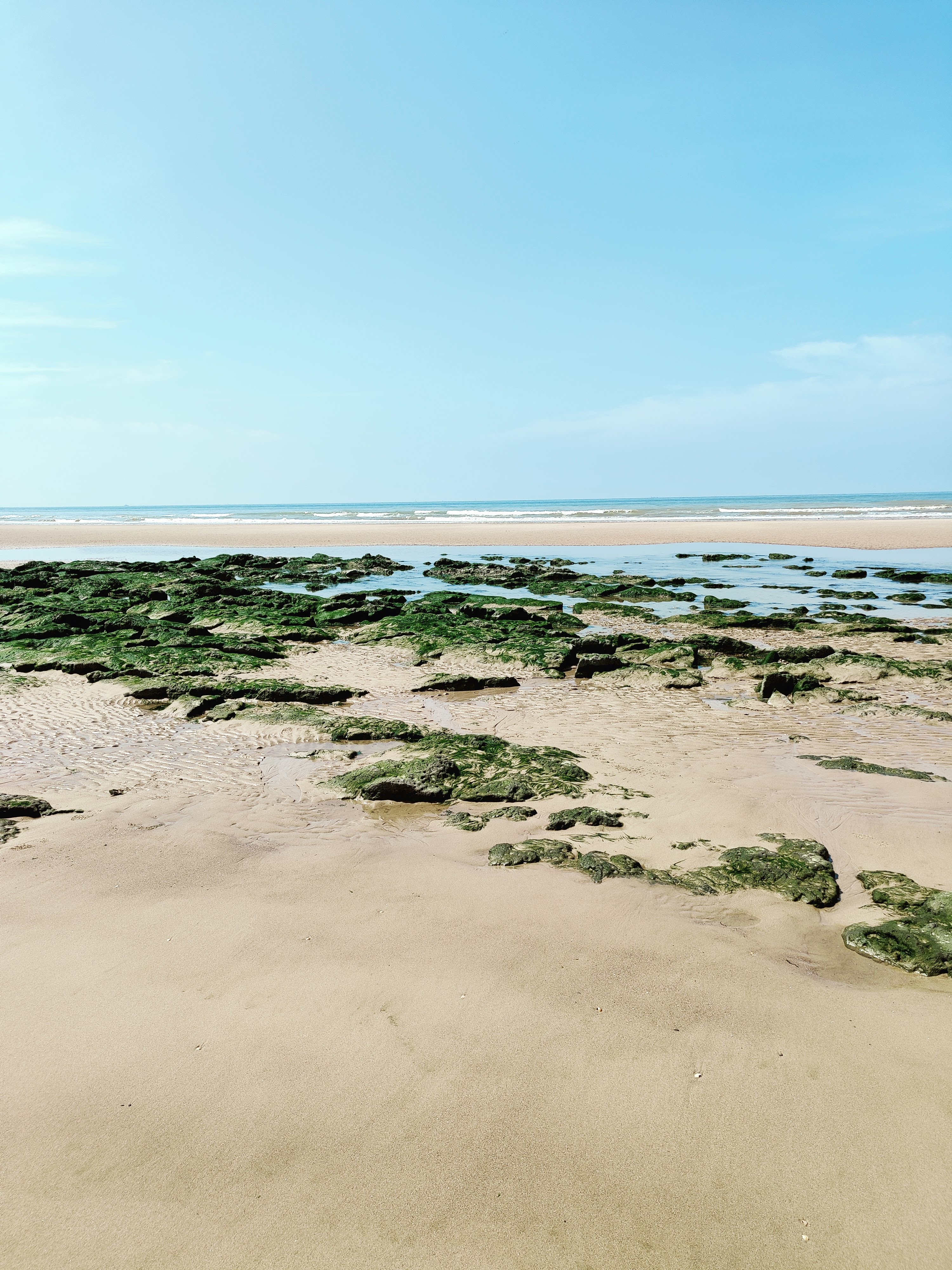 Photo n° 3 de l'avis de Fabienne.e fait le 02/07/2021 à 19:36