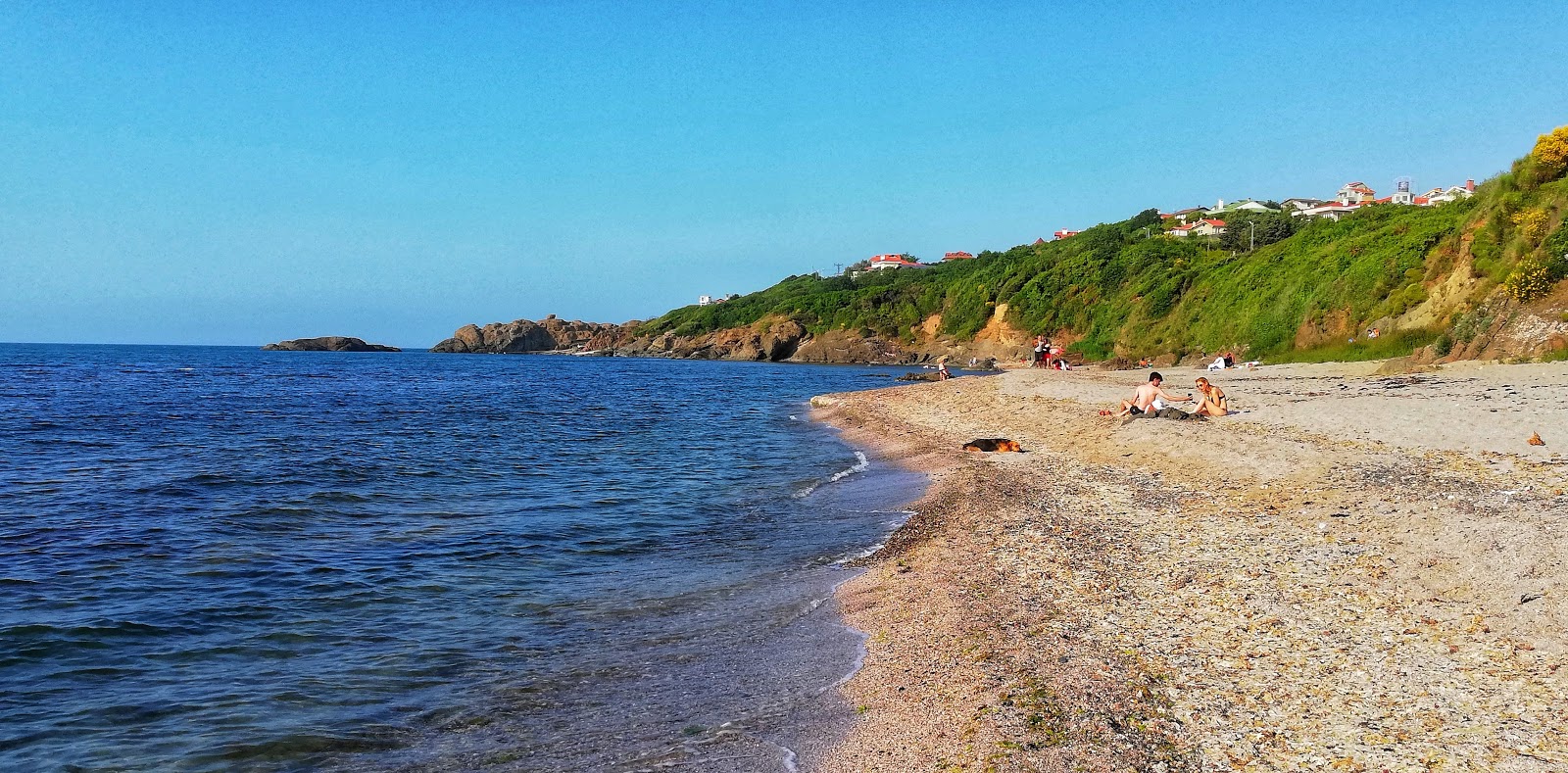 Kaptanın Meezarı'in fotoğrafı vahşi alan