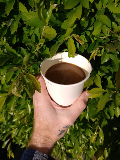 Coffee Store «Cole Coffee Bean + Retail Shop», reviews and photos, 307 63rd St, Oakland, CA 94618, USA