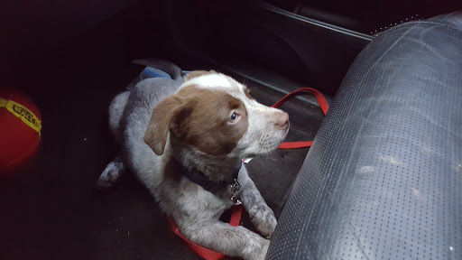 Book Store «Hearthfire Books of Evergreen», reviews and photos, 1254 Bergen Pkwy, Evergreen, CO 80439, USA