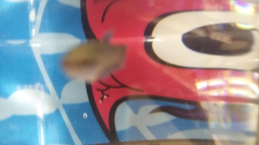 Pet Supply Store «Petco Animal Supplies», reviews and photos, 1215-1309 NJ-33 #1, Hamilton Township, NJ 08690, USA