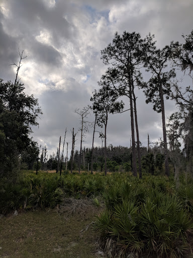 Recreation Center «Balm Park Recreation Center», reviews and photos, 14747 Balm Wimauma Rd, Wimauma, FL 33598, USA