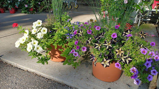 Produce Market «E Draghi & Son Farm Stand», reviews and photos, 86 Main St, South Glastonbury, CT 06073, USA