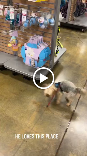 Pet Supply Store «PetSmart», reviews and photos, 745 W Huntington Dr, Monrovia, CA 91016, USA