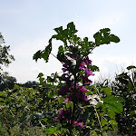 Photo n°2 de l'avis de Jürgen.o fait le 27/08/2019 à 13:16 sur le  Café Bistro Bar Extra | Landhaus Gut Hub à Penzberg