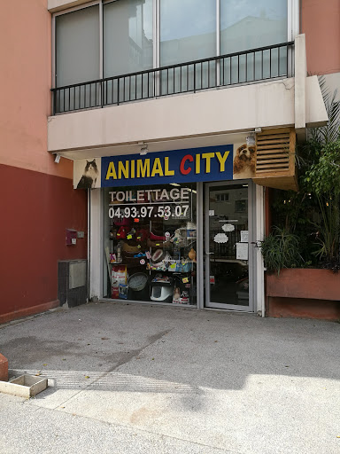 Animal City & Co