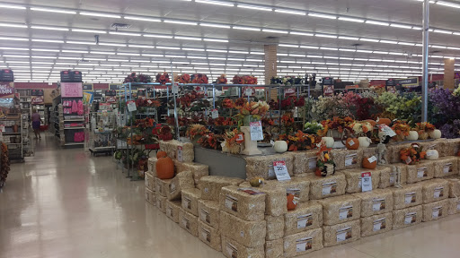 Craft Store «Michaels», reviews and photos, 46301 Potomac Run Plaza, Sterling, VA 20164, USA