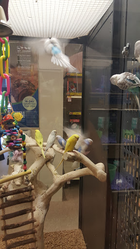 Pet Supply Store «PetSmart», reviews and photos, 1836 Joe Battle Blvd, El Paso, TX 79936, USA