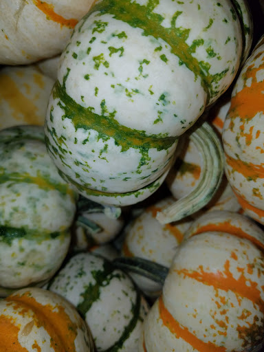 Grocery Store «Grocery Outlet Bargain Market», reviews and photos, 66 N Londonderry Square #300, Palmyra, PA 17078, USA