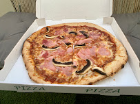 Plats et boissons du Pizzeria Pizza de l'Europe: pizzas feu de bois Pollestres - n°6