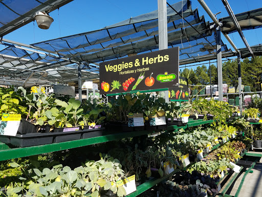 Home Improvement Store «The Home Depot», reviews and photos, 1670 Scenic Hwy S, Snellville, GA 30078, USA