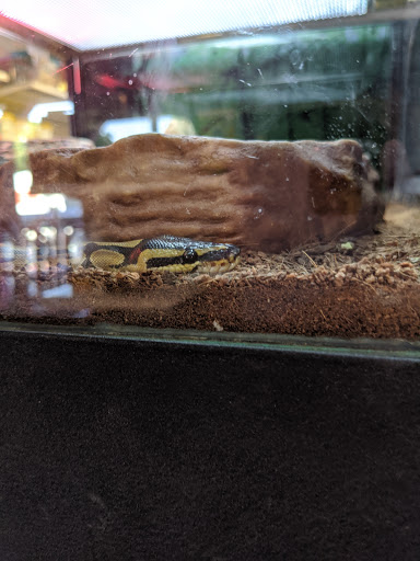 Pet Store «Pets Plus Inc», reviews and photos, 2610 Jefferson Davis Hwy, Stafford, VA 22554, USA