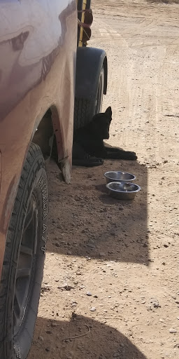 Tobacco Shop «Akimel Smoke Shop», reviews and photos, 4231 W Riggs Rd, Sun Lakes, AZ 85248, USA