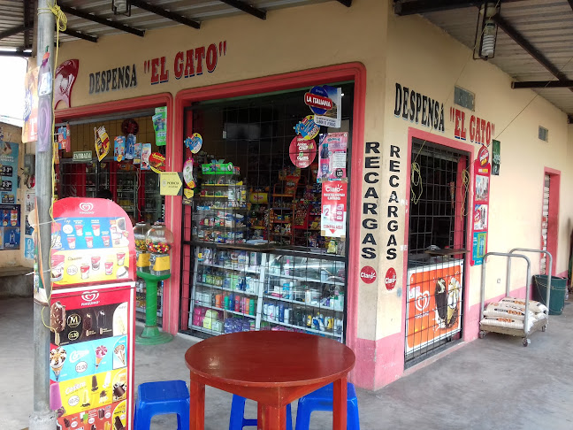 Despensa"El Gato" - Tienda