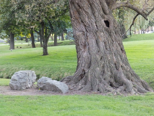 Wedding Venue «Canfield Casino», reviews and photos, 1 E Congress St, Saratoga Springs, NY 12866, USA