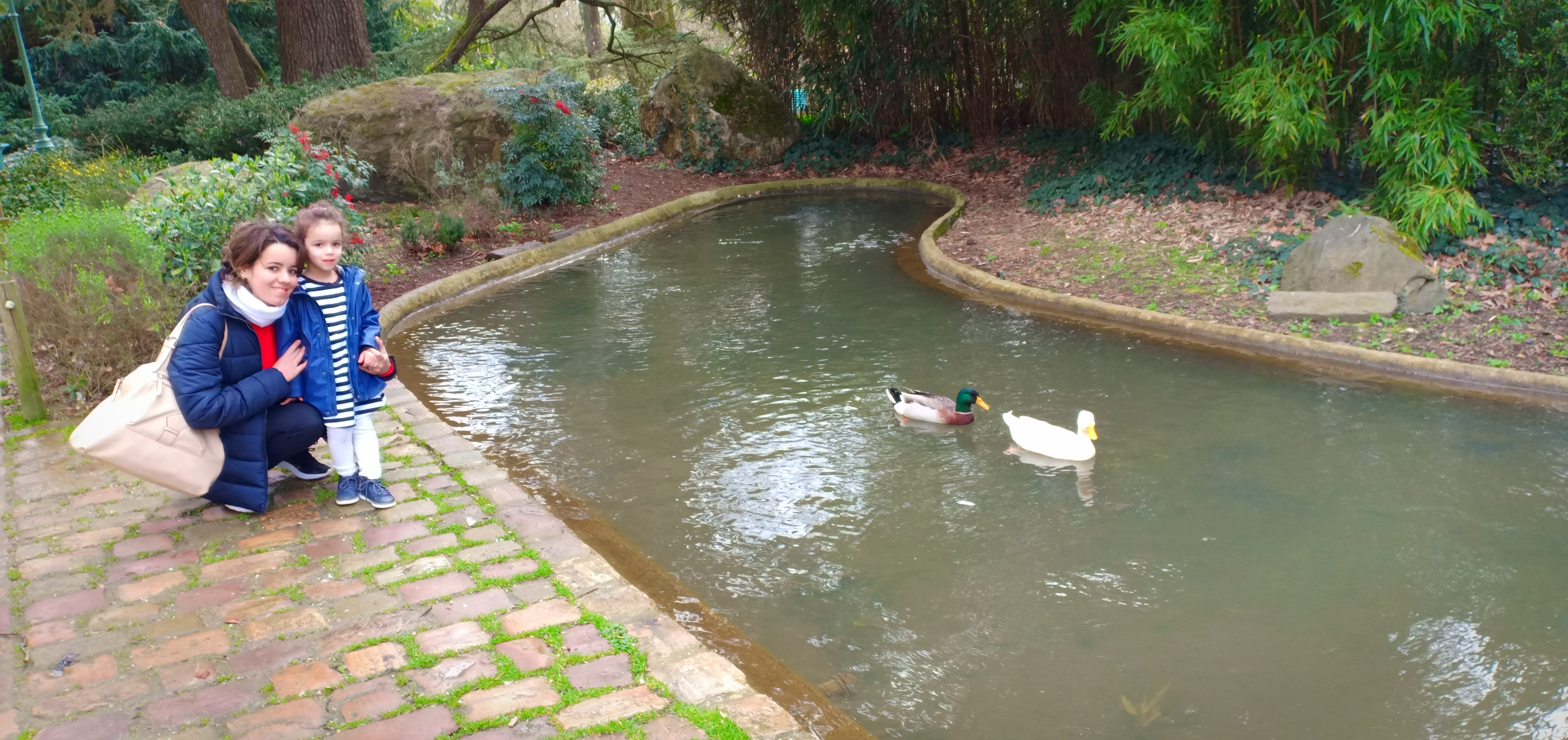 Photo n° 4 de l'avis de Salim.E fait le 20/03/2019 à 12:06