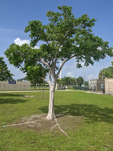 Park «Vizcaya Park», reviews and photos, 14200 SW 55th St, Miramar, FL 33027, USA