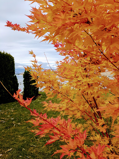 Vineyard «Mellisoni Vineyards», reviews and photos, 3155 US-97 ALT, Chelan, WA 98816, USA