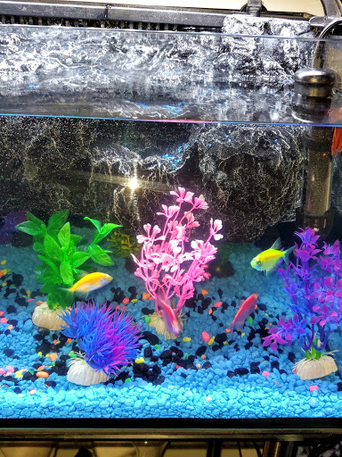 Pet Supply Store «Pet Supplies Plus», reviews and photos, 6030 S Pennsylvania Ave, Lansing, MI 48911, USA