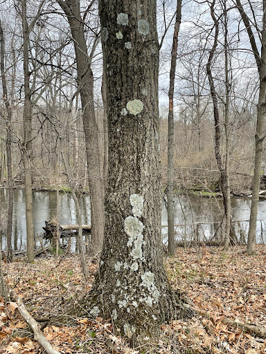 Nature Preserve «Leonard Preserve», reviews and photos, N Union St, Manchester, MI 48158, USA