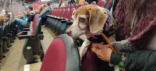 Arena «Quicken Loans Arena», reviews and photos