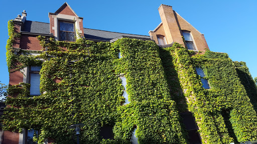 Book Store «Seminary Co-op Bookstore», reviews and photos, 5751 S Woodlawn Ave, Chicago, IL 60637, USA