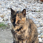 Photo n°4 de l'avis de Puffo.u fait le 17/11/2023 à 16:15 sur le  Forte Marghera à Venice