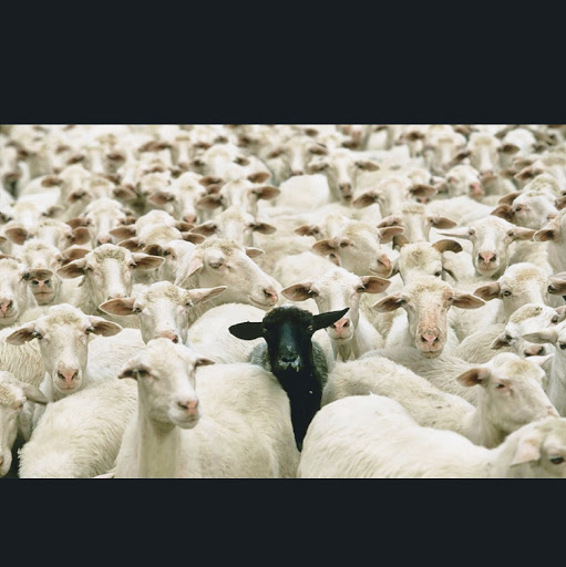 Cell Phone Store «J.A. Electronics Station», reviews and photos, 11814 Frankstown Rd, Penn Hills, PA 15235, USA