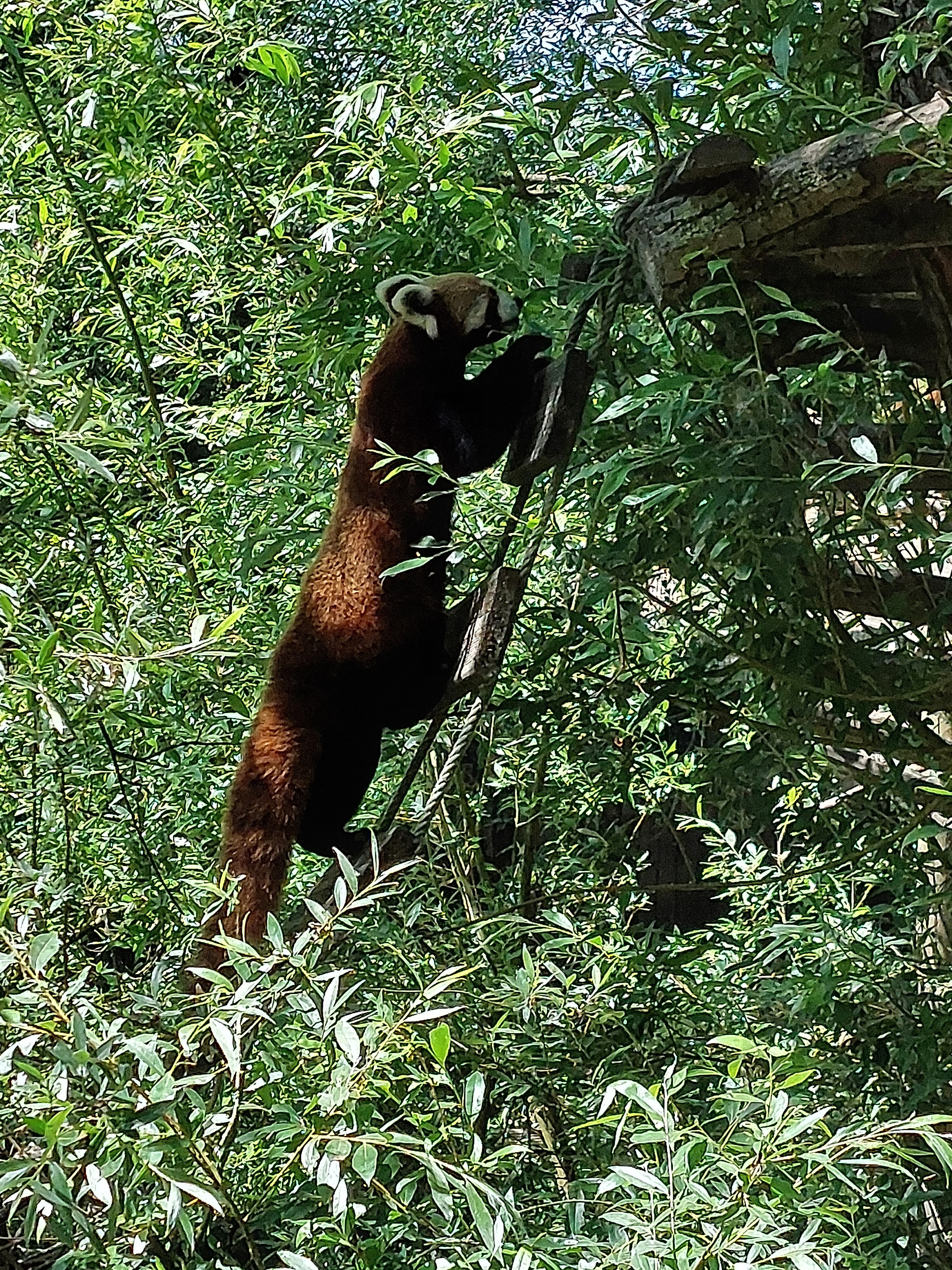 Photo n° 1 de l'avis de Dorie.r fait le 31/01/2023 à 18:31