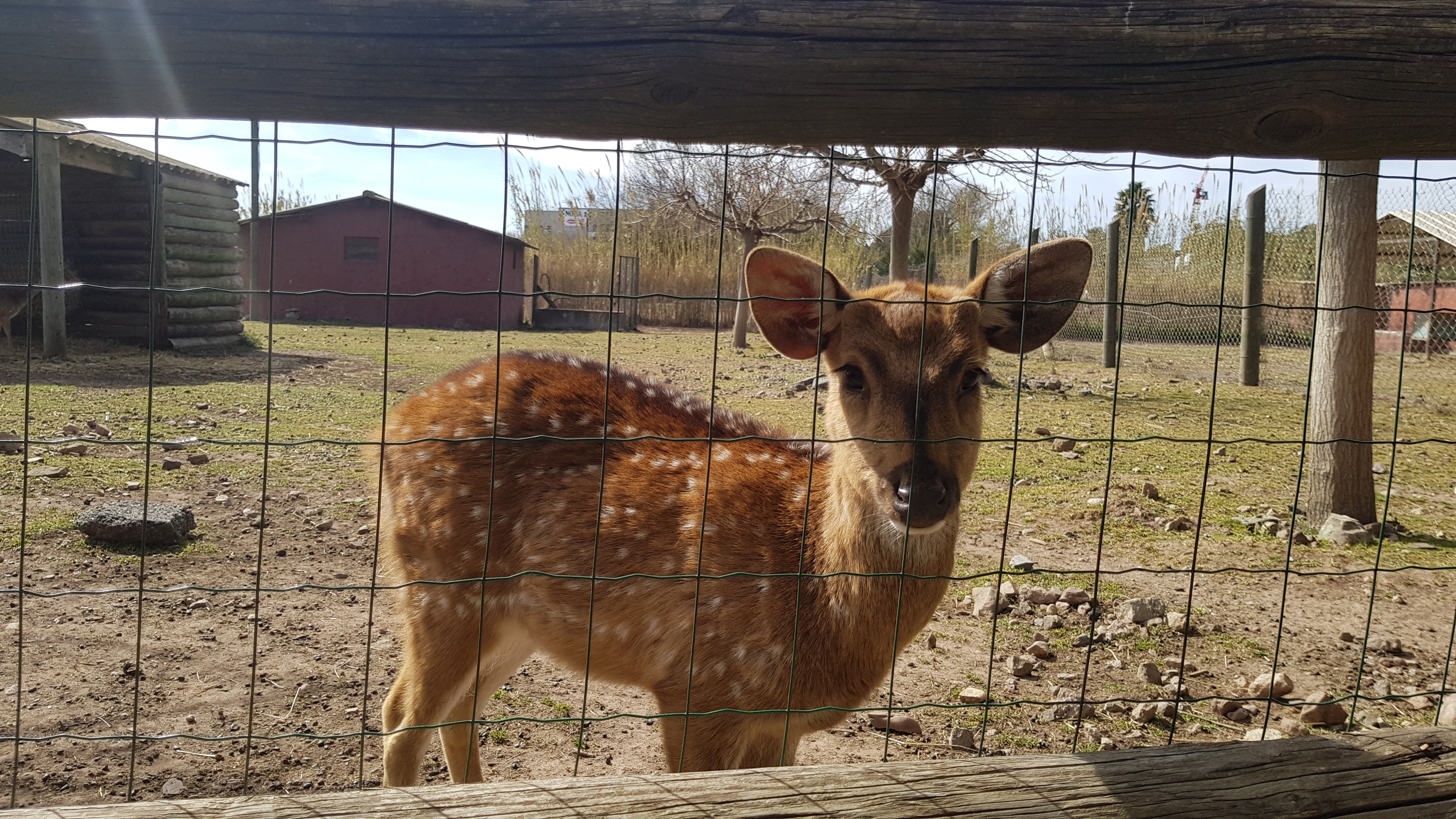 Photo n° 2 de l'avis de Océane.� fait le 03/04/2019 à 16:36