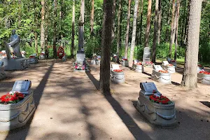 Military Memorial Cemetery "Sosnovka" image