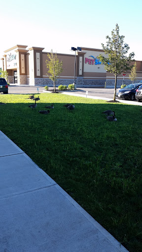 Auto Insurance Agency «AAA Edison Car Care Insurance Travel Center», reviews and photos