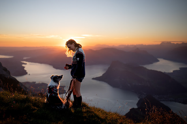 Rezensionen über Abenteuerhunde Fotografie in Sarnen - Fotograf