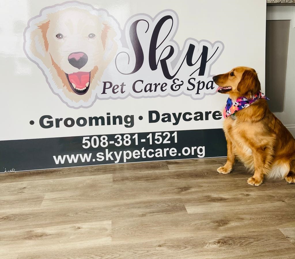 Sky Pet Care & Spa