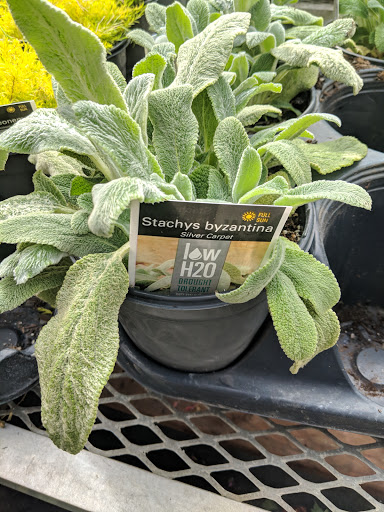 Hardware Store «Orchard Supply Hardware», reviews and photos, 2245 Gellert Blvd, South San Francisco, CA 94080, USA