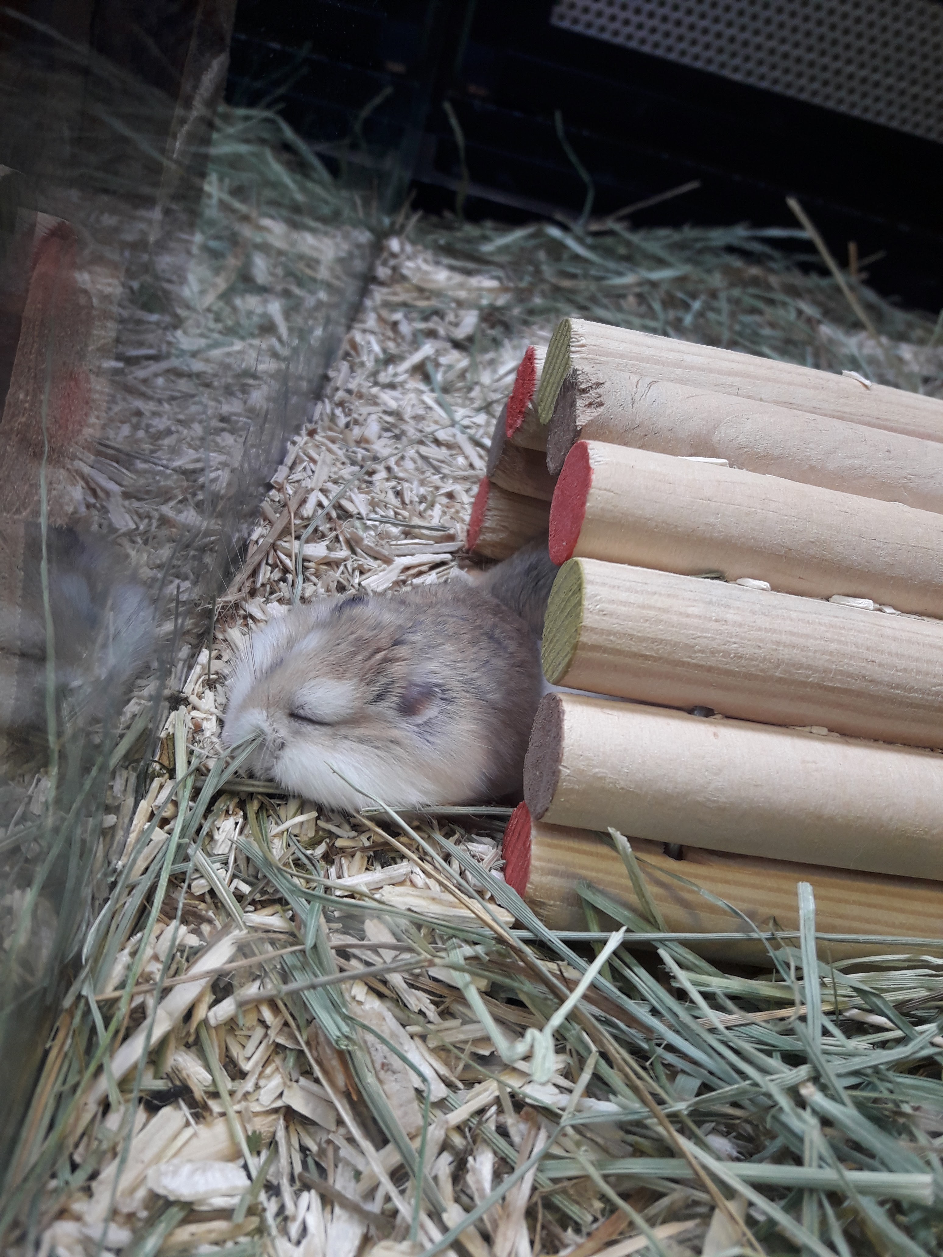 Photo n° 1 de l'avis de Charles.i fait le 07/12/2019 à 14:52