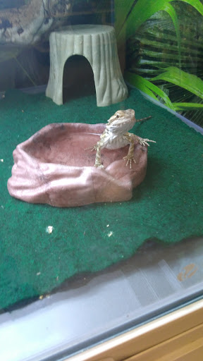 Pet Supply Store «PetSmart», reviews and photos, 777 S Willow St, Manchester, NH 03103, USA