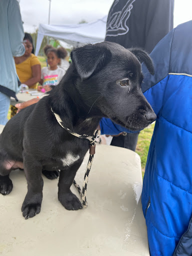 Community Center «McFarland Community Center», reviews and photos, 4955 Cottonwood Rd, Memphis, TN 38118, USA