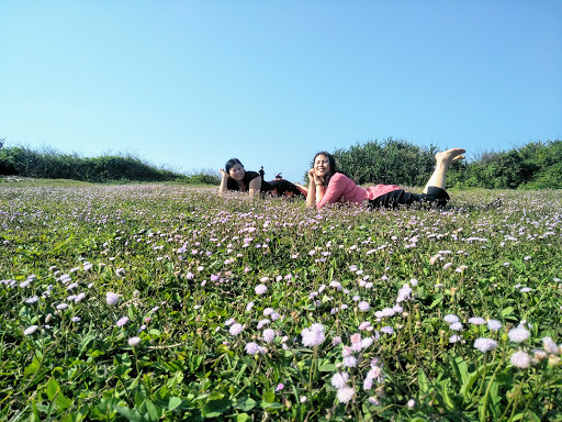 Top 20 cửa hàng 2guys1box Huyện Vĩnh Linh Quảng Trị 2022