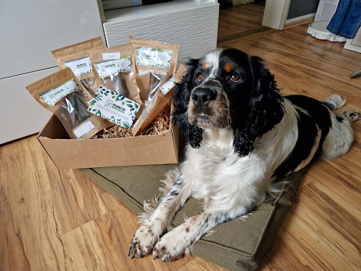 Hunde Brunch unter Plattling, 
