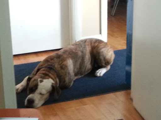 Auto Repair Shop «Magic Touch Auto Body Shop», reviews and photos, 10325 NW 7th Ave, Miami, FL 33150, USA