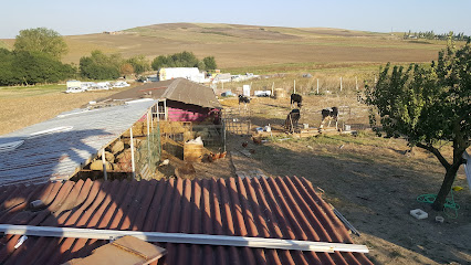 Selimoglu Çiftliği