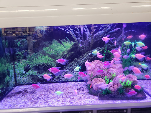 Pet Supply Store «Petco Animal Supplies», reviews and photos, 210 Nut Tree Pkwy, Vacaville, CA 95687, USA